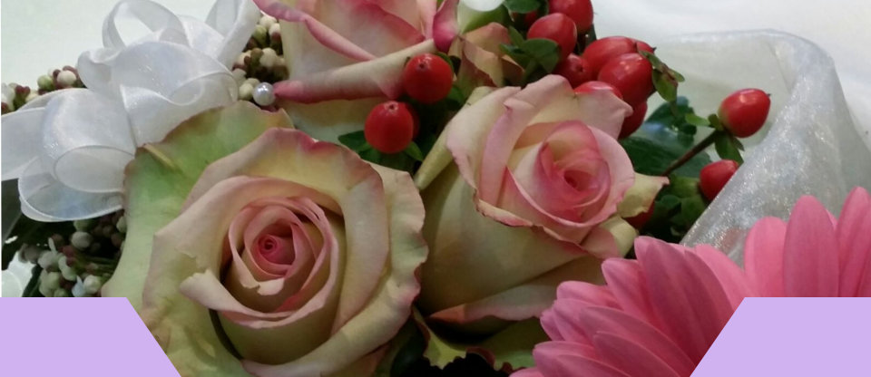 Qualität trifft Fachfrau!