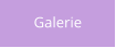 Galerie