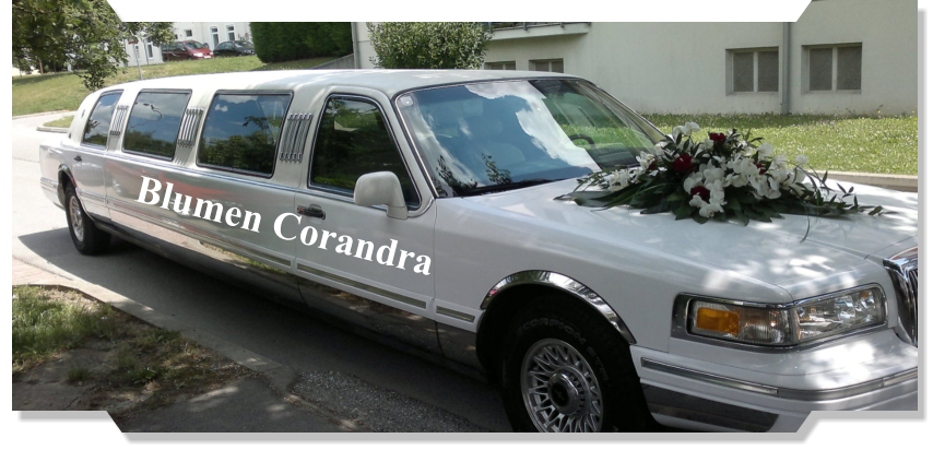 Blumen Corandra