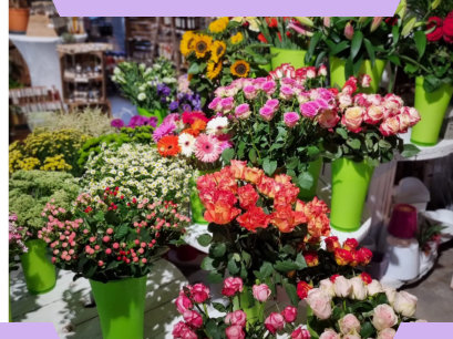 Immer ein breites Sortiment mit Exoten und 08-15